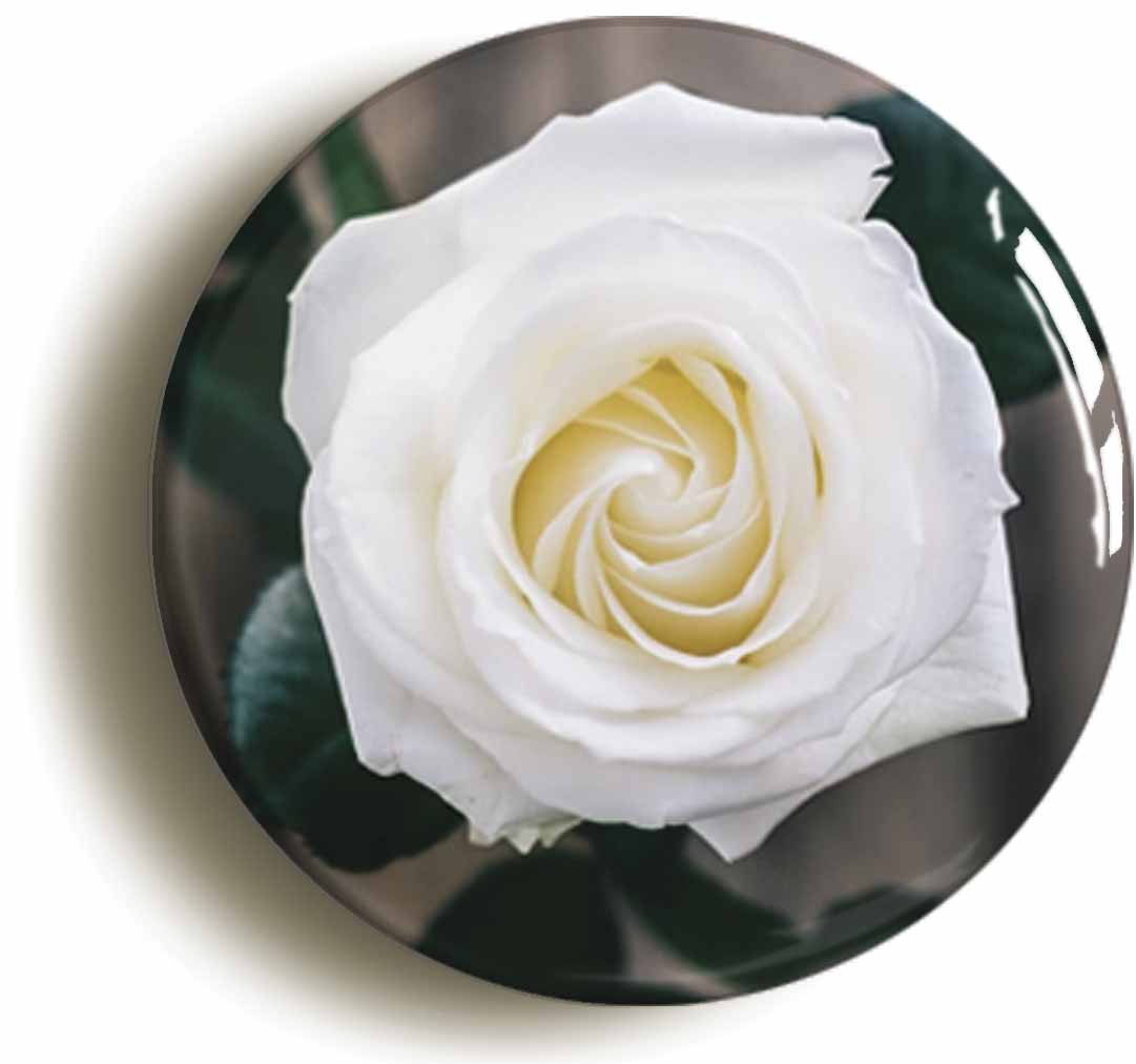 A picture of a button badge