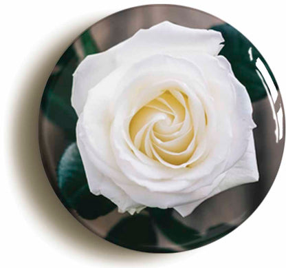 A picture of a fridge magnet