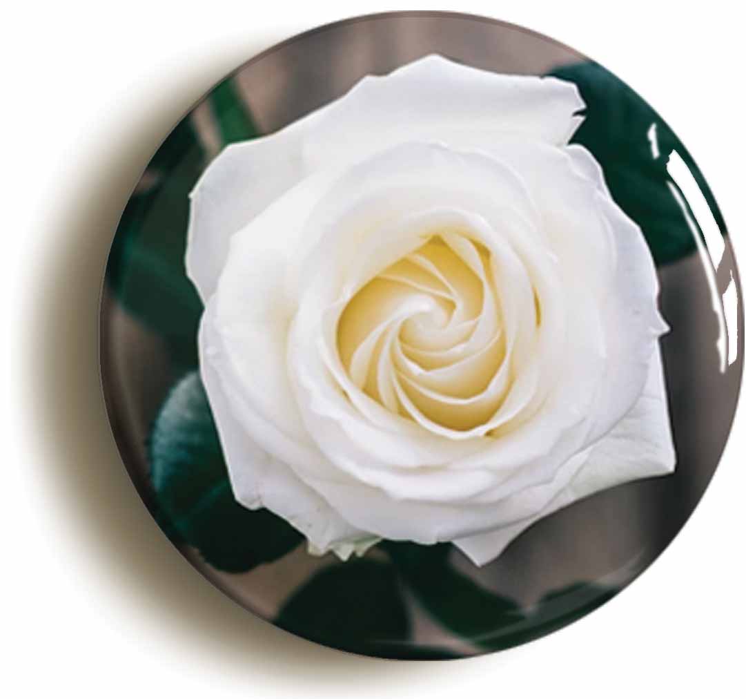 A picture of the front of the product, titled White Rose Flower Button Pin Badge