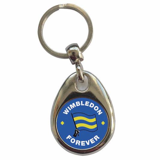 An image of a plain metal keyring