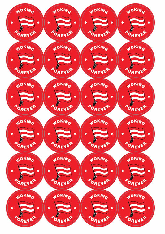A picture of an A4 sheet of matte paper stickers