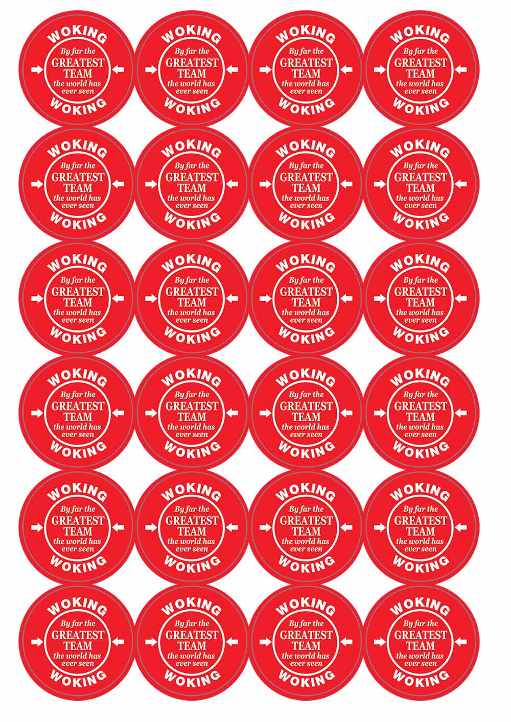 A picture of an A4 sheet of matte paper stickers
