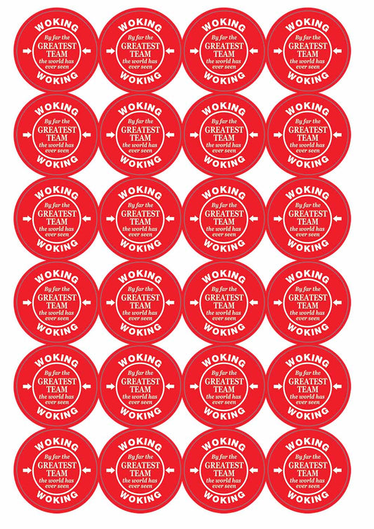 A picture of an A4 sheet of matte paper stickers