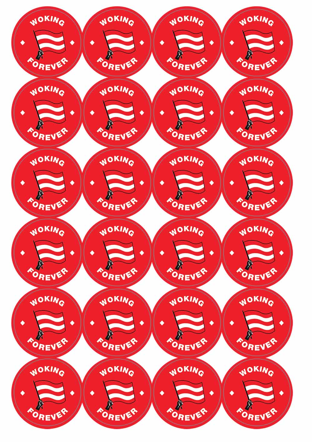 A picture of an A4 sheet of matte paper stickers