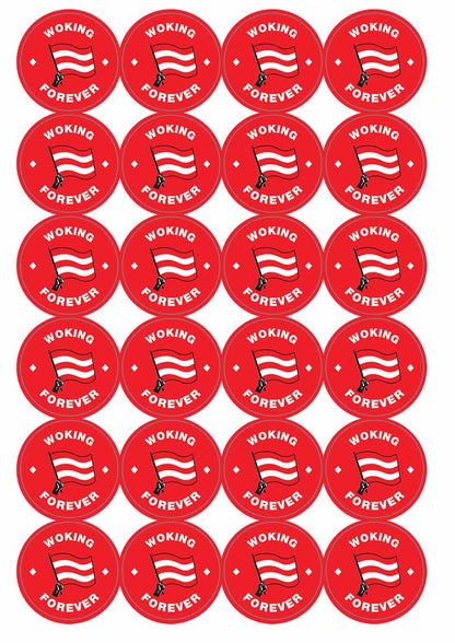 A picture of an A4 sheet of matte paper stickers
