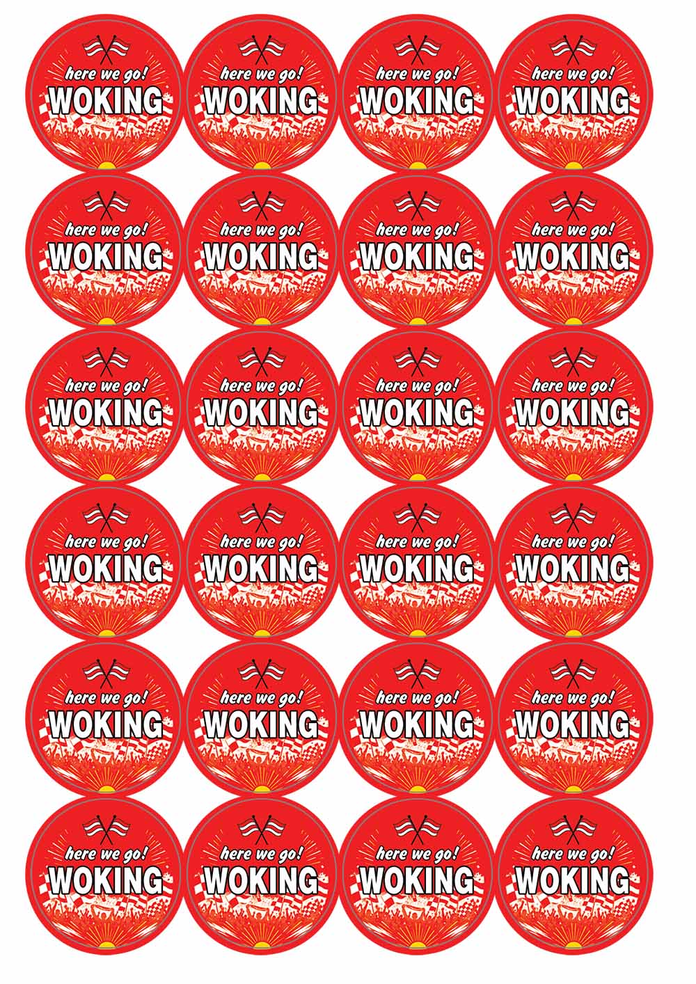 A picture of an A4 sheet of matte paper stickers