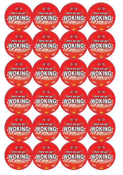 A picture of an A4 sheet of matte paper stickers