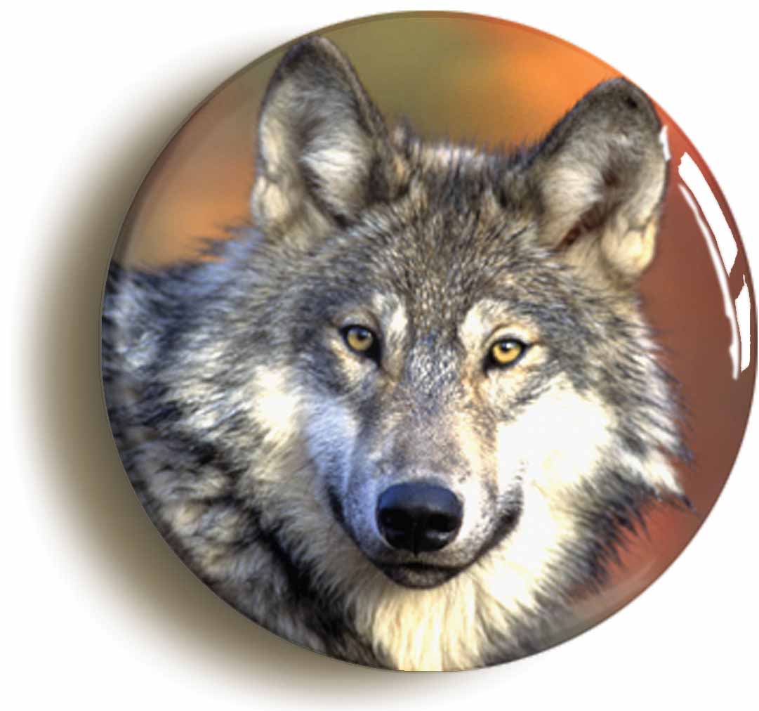 A picture of the front of the product, titled Wolf Circular 50mm Fridge Magnet