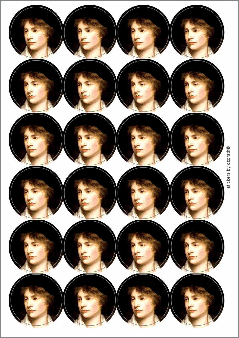 A picture of an A4 sheet of matte paper stickers