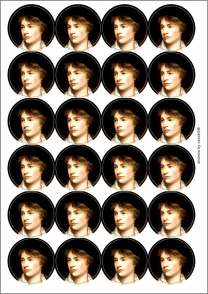 A picture of an A4 sheet of matte paper stickers