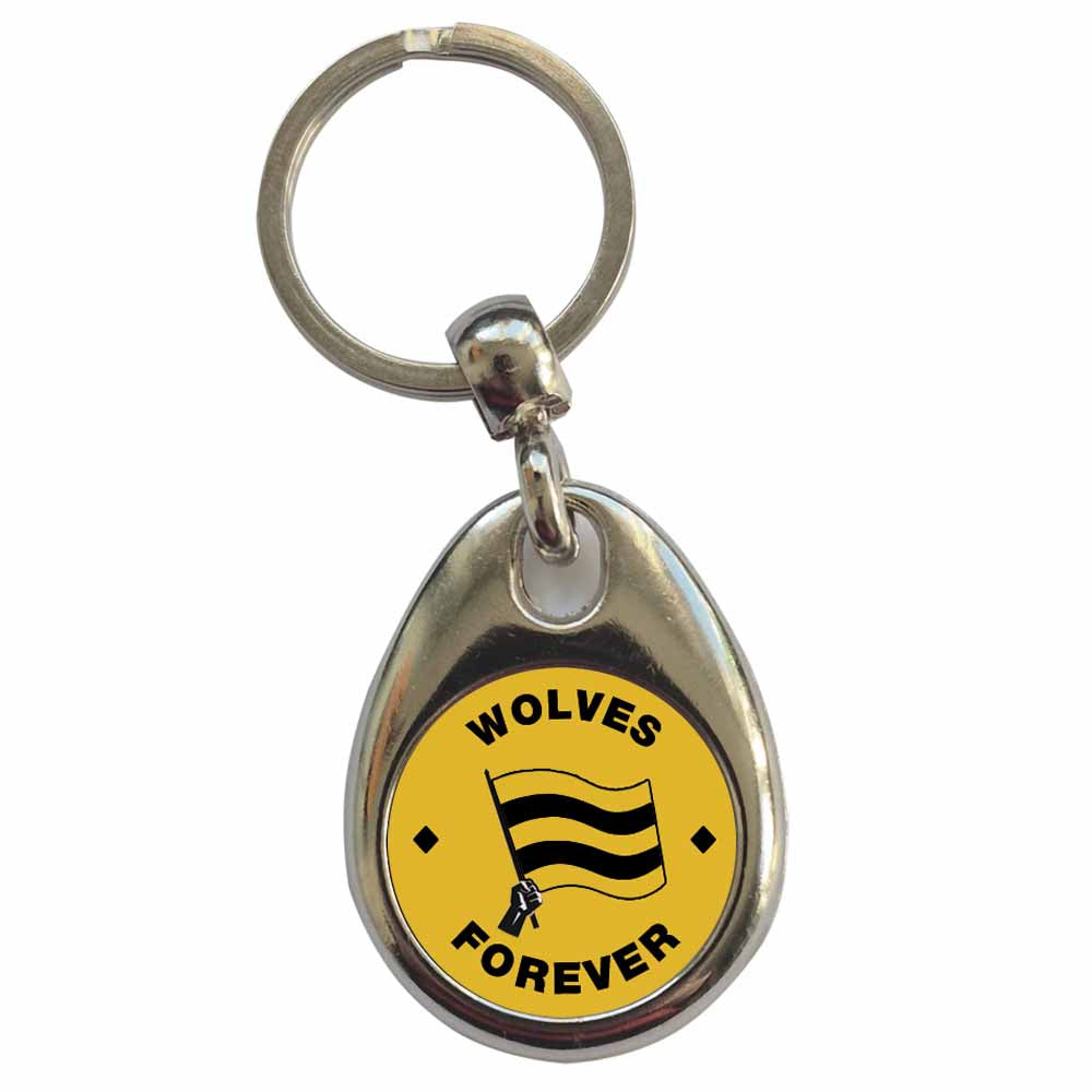 An image of a plain metal keyring