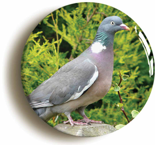 A picture of the front of the product, titled Wood Pigeon Circular 50mm Fridge Magnet