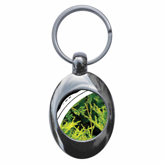 A picture of the front of the product, titled Wood Pigeon Metal Keyring With Trolley Coin