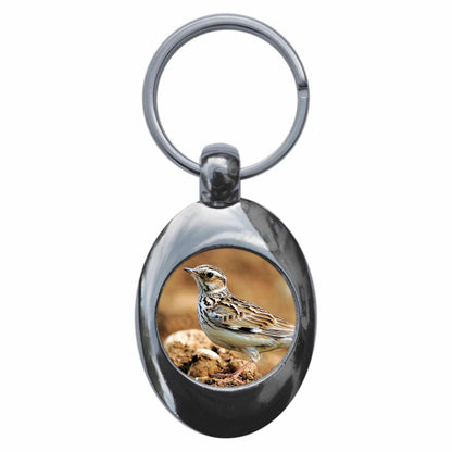 An image of a keyring