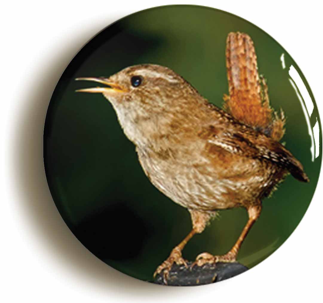 A picture of the front of the product, titled Wren Button Pin Badge