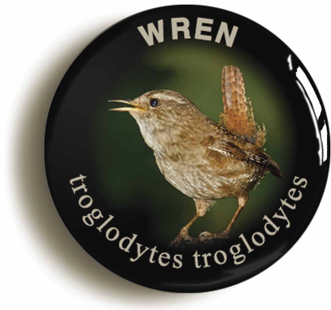 A picture of a button badge