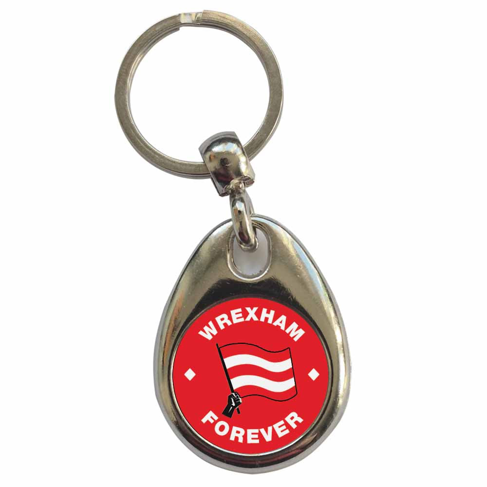 An image of a plain metal keyring