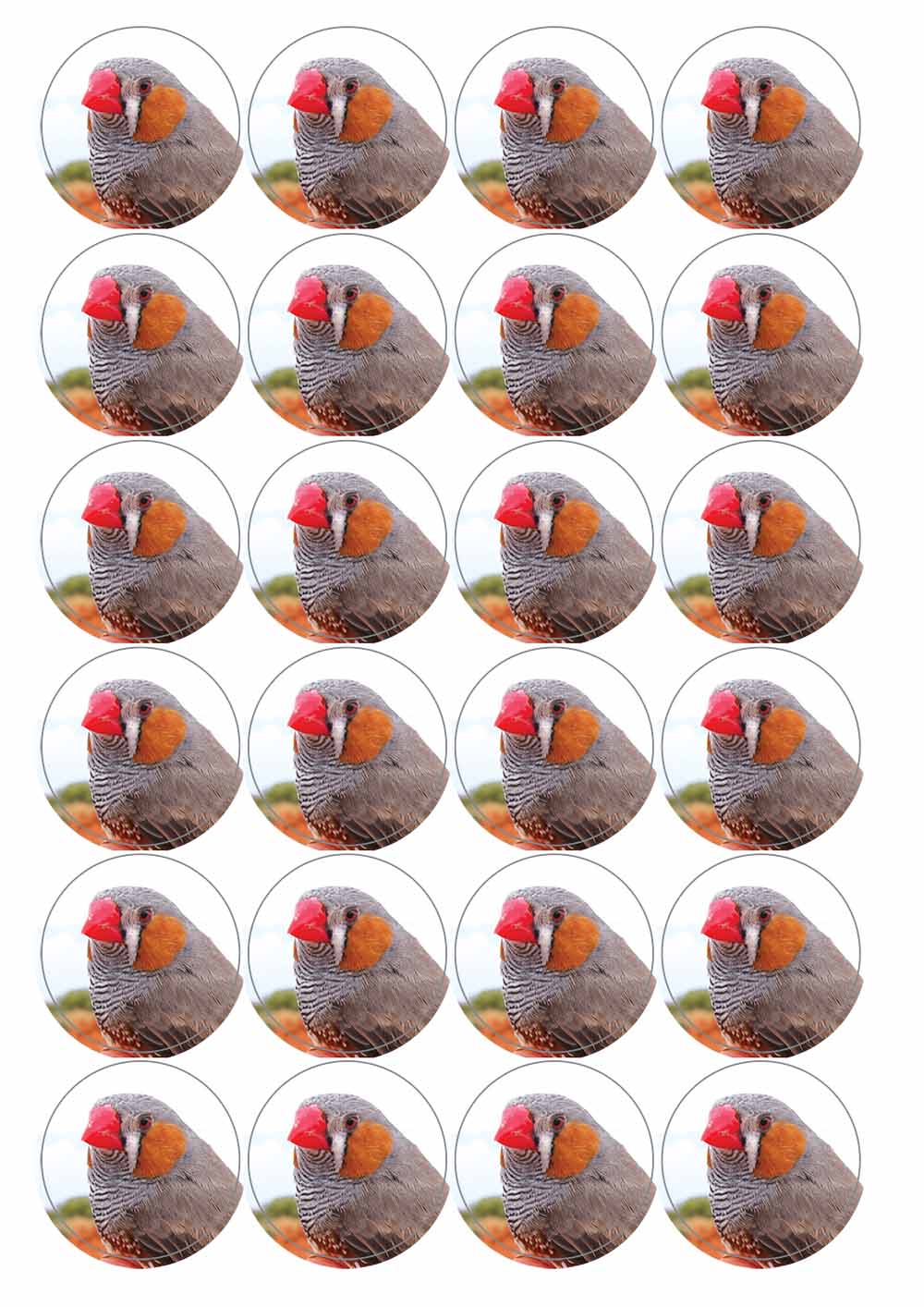 A picture of an A4 sheet of matte paper stickers