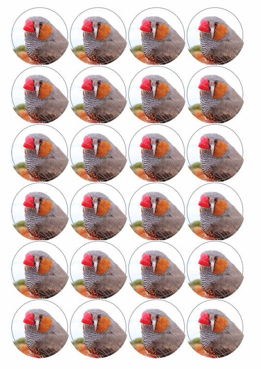 A picture of an A4 sheet of matte paper stickers