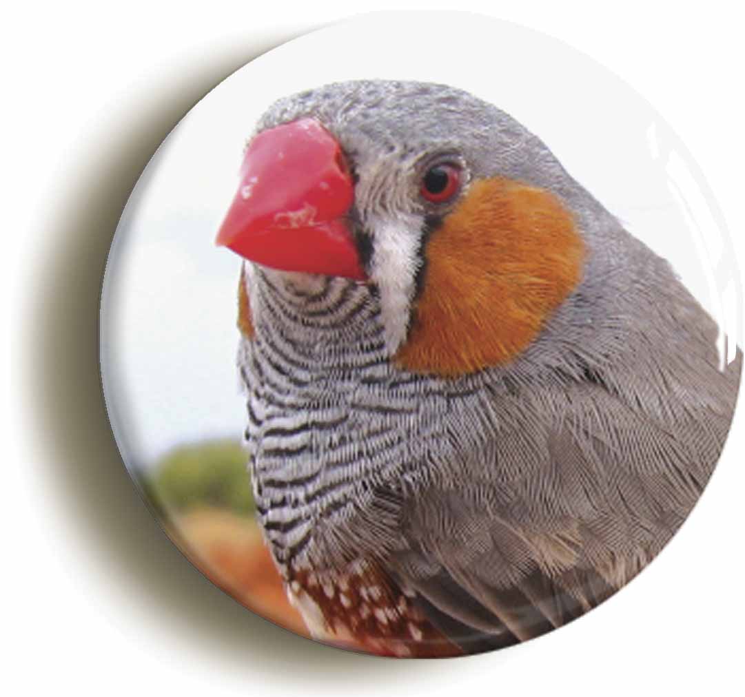 A picture of a fridge magnet